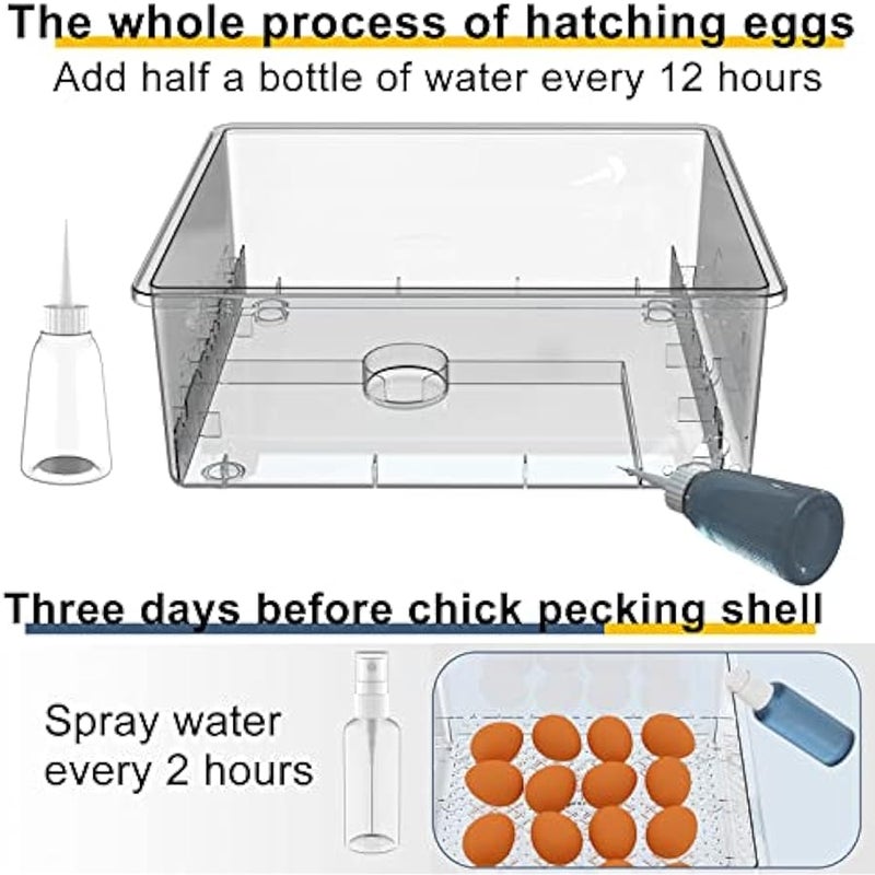 عربست حاضنات بيض 36 درجة فهرنهايت من هيثيا، مراقبة الرطوبة، بيض الدوران التلقائي، حاضنة منزلية لتفقيس البيض، حاضنات بيض السمان مع شمعة بيض - Image 5